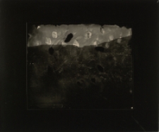 Bez tytułu [Dokument ikonograficzny]