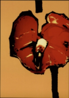 Ogrody 2006. Wałbrzych - Zamek Książ - zaproszenie [Dokument życia społecznego]