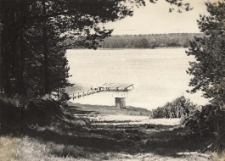 Ośrodek Wypoczynku Świątecznego w Wilczynie koło Obornik Śląskich : zdjęcia stawu, 1977 r. [Dokument ikonograficzny]