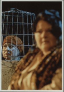 Dialogi o zwierzętach (fot. 4) [Dokument ikonograficzny]