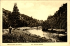 Im Schönen Queistal. Bei den drei Fichten [Dokument ikonograficzny]