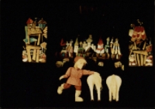 Konik Garbusek (fot. 11) [Dokument ikonograficzny]