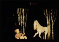 Konik Garbusek (fot. 6) [Dokument ikonograficzny]