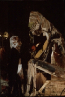 Hofmamania (fot. 16) [Dokument ikonograficzny]