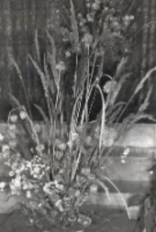 Wystawa kompozycji kwiatowych w Obornickim Ośrodku Kultury, 12.09.1981 r. [Dokument ikonograficzny]