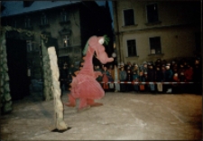 Z życia smok&oacute;w (fot. 1) [Dokument ikonograficzny]