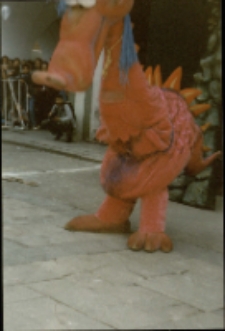 Z życia smoków (fot. 14) [Dokument ikonograficzny]