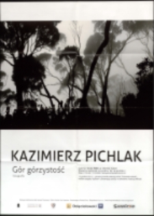 Kazimierz Pichlak. Gór górzystość - plakat [Dokumeny życia społecznego]