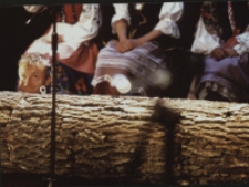 Rozmowy przy wycinaniu lasu (fot. 5) [Dokument ikonograficzny]