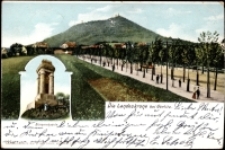 Die Landeskrone bei Görlitz [Dokument ikonograficzny]