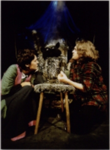 Czarodziejski młyn (fot. 12) [Dokument ikonograficzny]