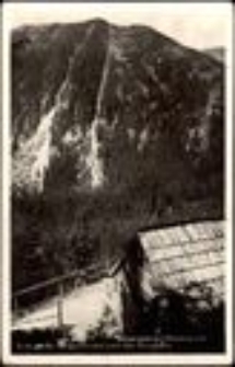 Riesengebirge. Riesengrund. Blick von der Bergschmiede nach dem Brunnberg [Dokument ikonograficzny]