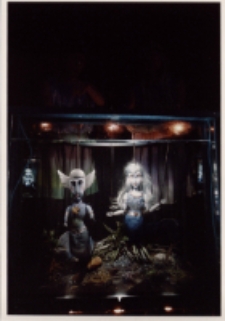 Mała syrenka (fot. 3) [Dokument ikonograficzny]