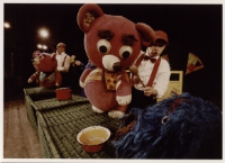 Tymoteusz Rymcimci (fot. 11) [Dokument ikonograficzny]