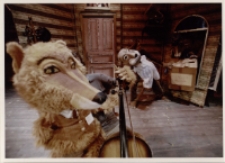 Porwanie kaczątek (fot. 6) [Dokument ikonograficzny]