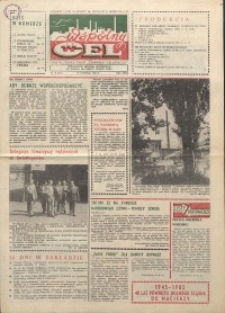Wspólny cel : gazeta załogi ZWCH "Chemitex-Celwiskoza", 1985, nr 18 (955)
