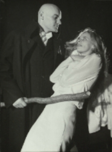 Pelikan (fot. 10) [Dokument ikonograficzny]