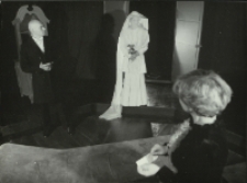 Pelikan (fot. 13) [Dokument ikonograficzny]