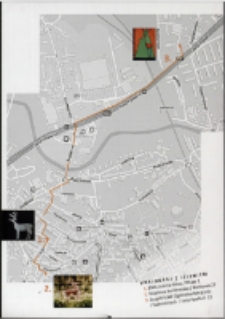 Krajobraz z jeleniem - plan [Dokument życia społecznego]