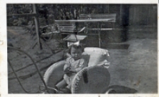 Zdjęcie Danusi Królikowskiej w wózku w ogrodzie domu przy ul. Jagiełły 18 w Obornikach Śląskich, 1951 r. [Dokument ikonograficzny]
