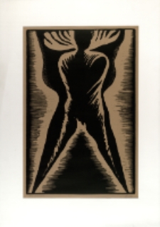 Bez skrzydeł [Dokument ikonograficzny]