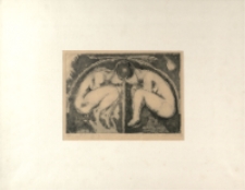 Bliźniaczy embrion [Dokument ikonograficzny]