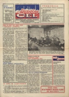 Wspólny cel : gazeta załogi ZWCH "Chemitex-Celwiskoza", 1985, nr 32 (969)