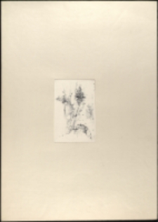 Pejzaż fantastyczny [Dokument ikonograficzny]