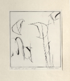 Światła we śnie [Dokument ikonograficzny]