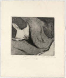 Femina IV [Dokument ikonograficzny]