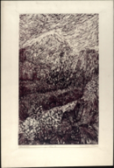 Piękne Karkonosze [Dokument ikonograficzny]