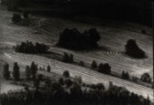 Sianokosy [Dokument ikonograficzny]