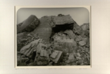 Przypadek Celwiskozy - obrazy nierzeczywiste [Dokument ikonograficzny]