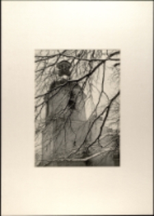 Architektura. Lądek Zdrój [Dokument ikonograficzny]