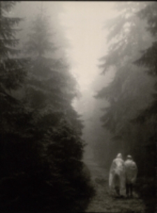 We mgle Karkonosze [Dokument ikonograficzny]