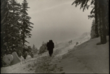 Neptun [Dokument ikonograficzny]