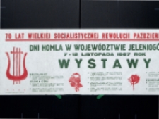 [Dni Homla w Województwie Jeleniogórskim]. Wystawa - afisz [Dokumenty życia społecznego][