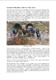 Członkowie DTMZ odkryli zamek w Kamiennej Górze [Dokument elektroniczny]