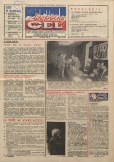 Wspólny cel : gazeta załogi ZWCH "Chemitex-Celwiskoza", 1986, nr 13 (986)