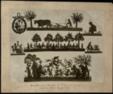 [Kolaż 1][Dokument ikonograficzny]