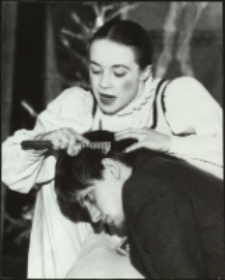 Biesy (fot. 8) [Dokument ikonograficzny]