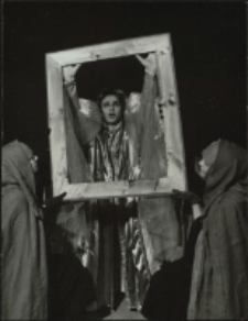 Sen nocy letniej (fot. 15) [Dokument ikonograficzny]