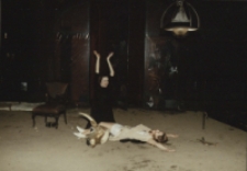 Elektra (fot. 6) [Dokument ikonograficzny]