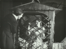 Zemsta (fot. 4) [Dokument ikonograficzny]