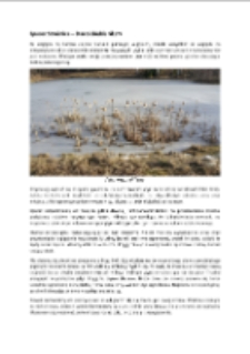 Spacer Strużnica – Starościńskie Skały [Dokument elektroniczny]