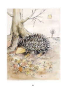 Wohin, kleiner Benjamin? [Dokument elektroniczny]