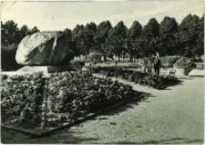 Zgorzelec - Park im. gen. Karola Świerczewskiego [Dokument ikonograficzny]