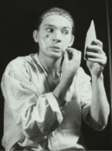 Przeźroczysty pokój (fot. 2) [Dokument ikonograficzny]