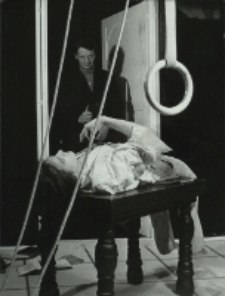 Przeźroczysty pokój (fot. 4) [Dokument ikonograficzny]