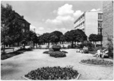 Zgorzelec - fragment miasta [Dokument ikonograficzny]